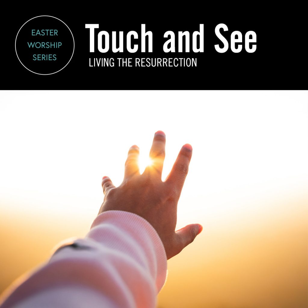 Touch and See